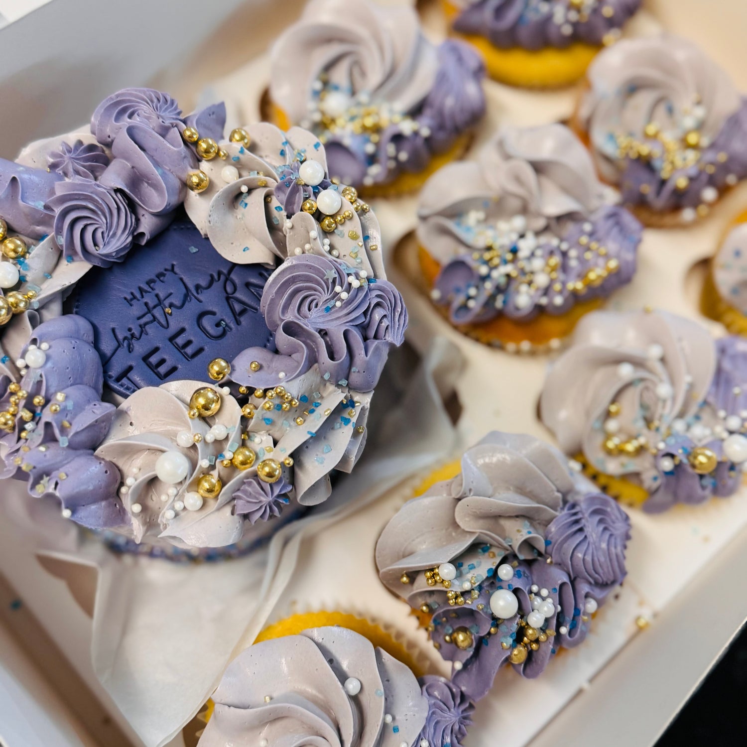 Mini Bento Cake and Cupcakes
