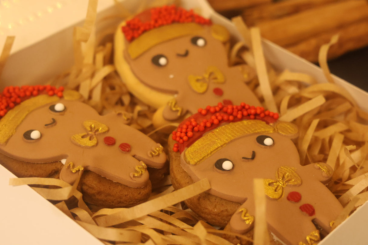 Christmas Cookie Collection - Decorated Gingerbread people - Shippable