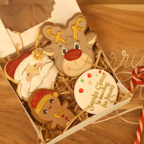 Decorative Christmas cookies shaped like Santa Claus, a reindeer, and a gingerbread man on a wooden surface.