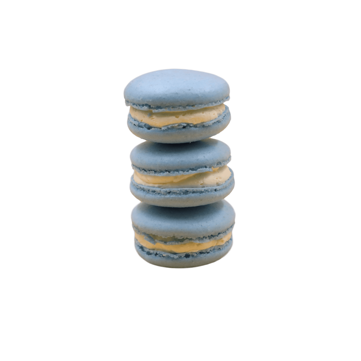 Macarons - 24 Packs - TMF Cake Designs