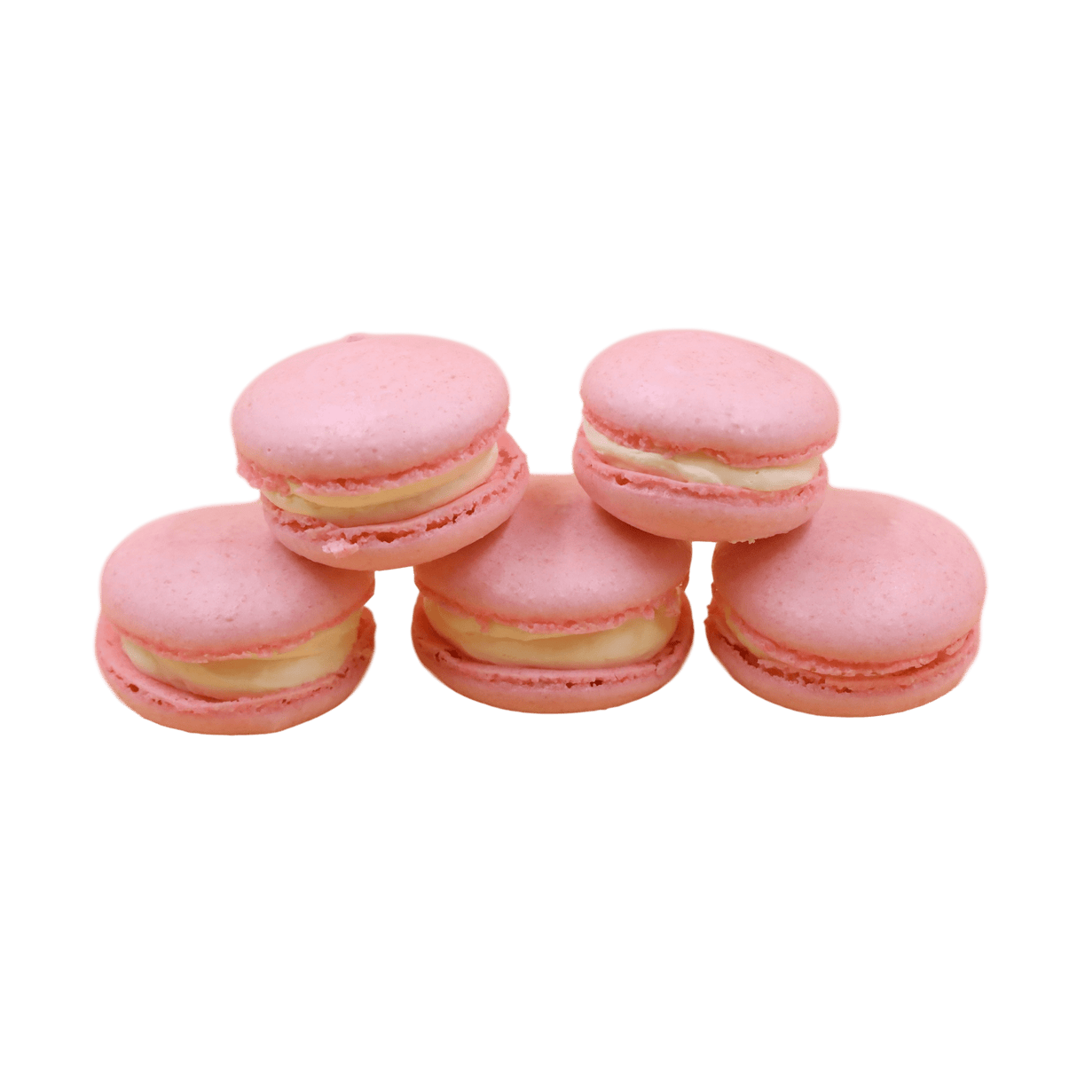 Macarons - 24 Packs - TMF Cake Designs