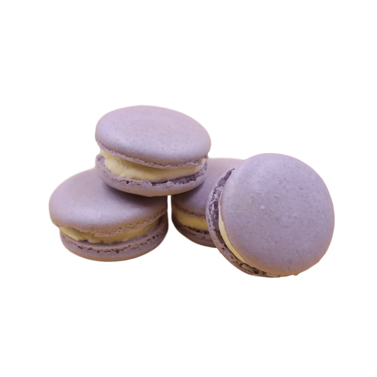 Macarons - 24 Packs - TMF Cake Designs