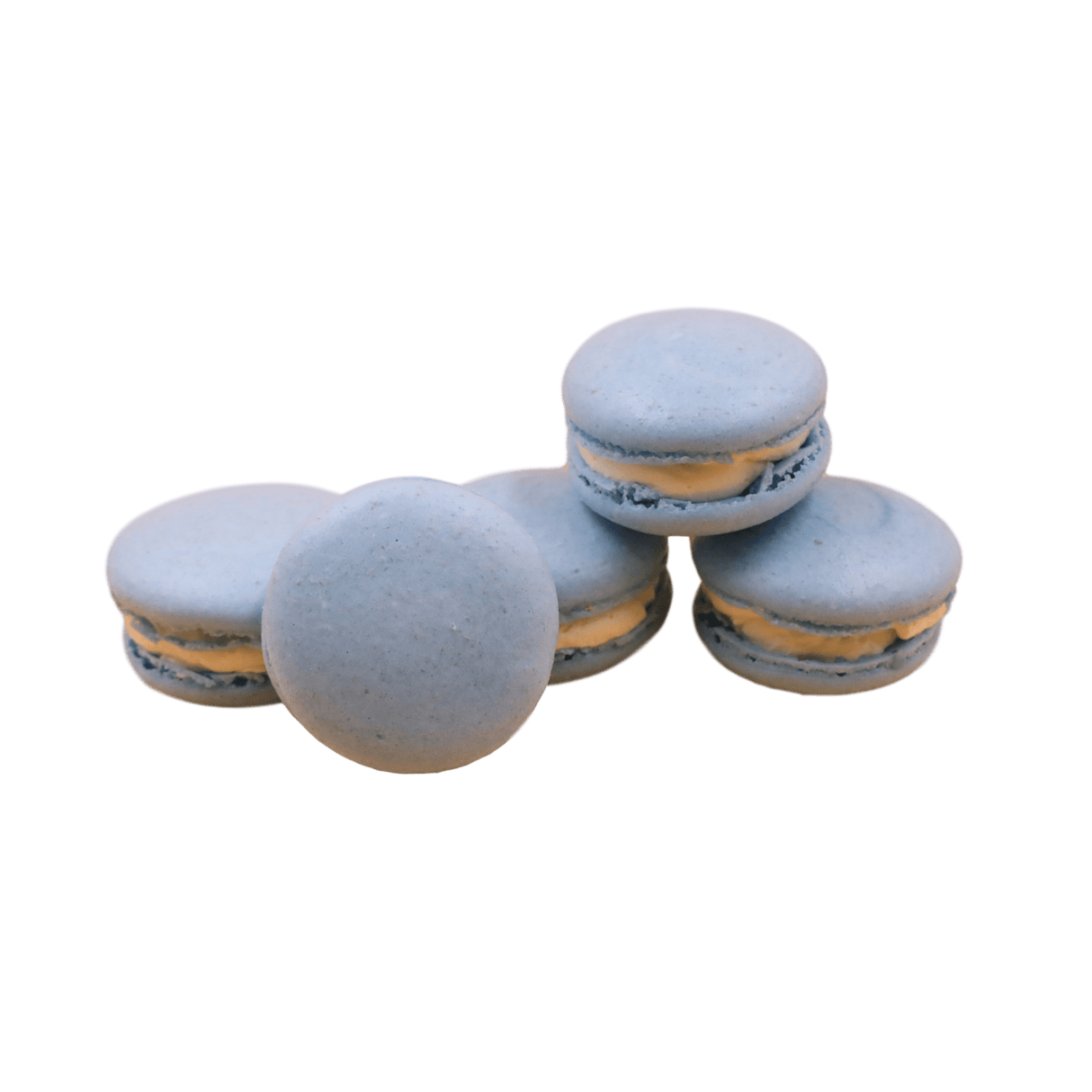 Macarons - 24 Packs - TMF Cake Designs