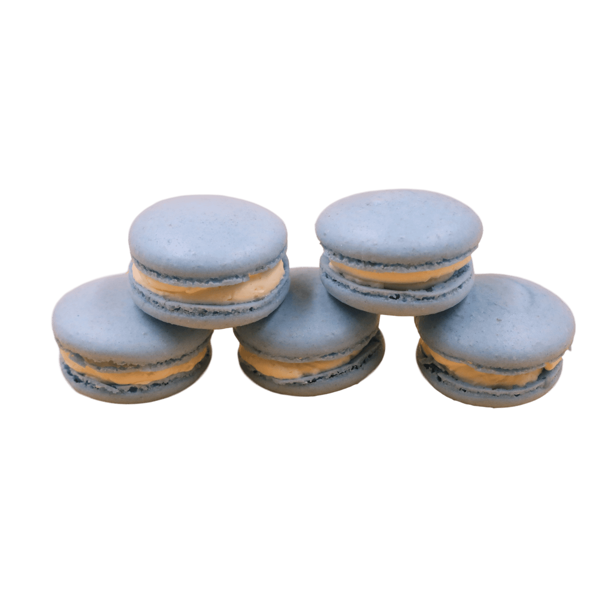 Macarons - 24 Packs - TMF Cake Designs