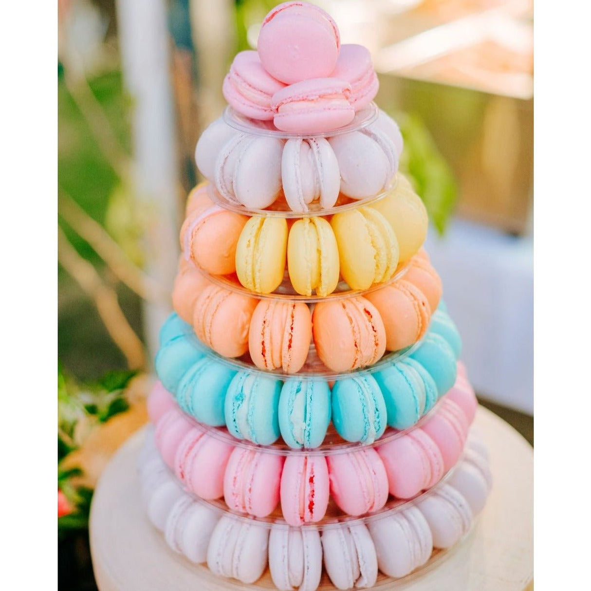 Macarons - 24 Packs - TMF Cake Designs