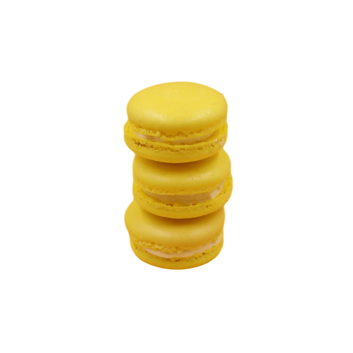 Macarons - 24 Packs - TMF Cake Designs