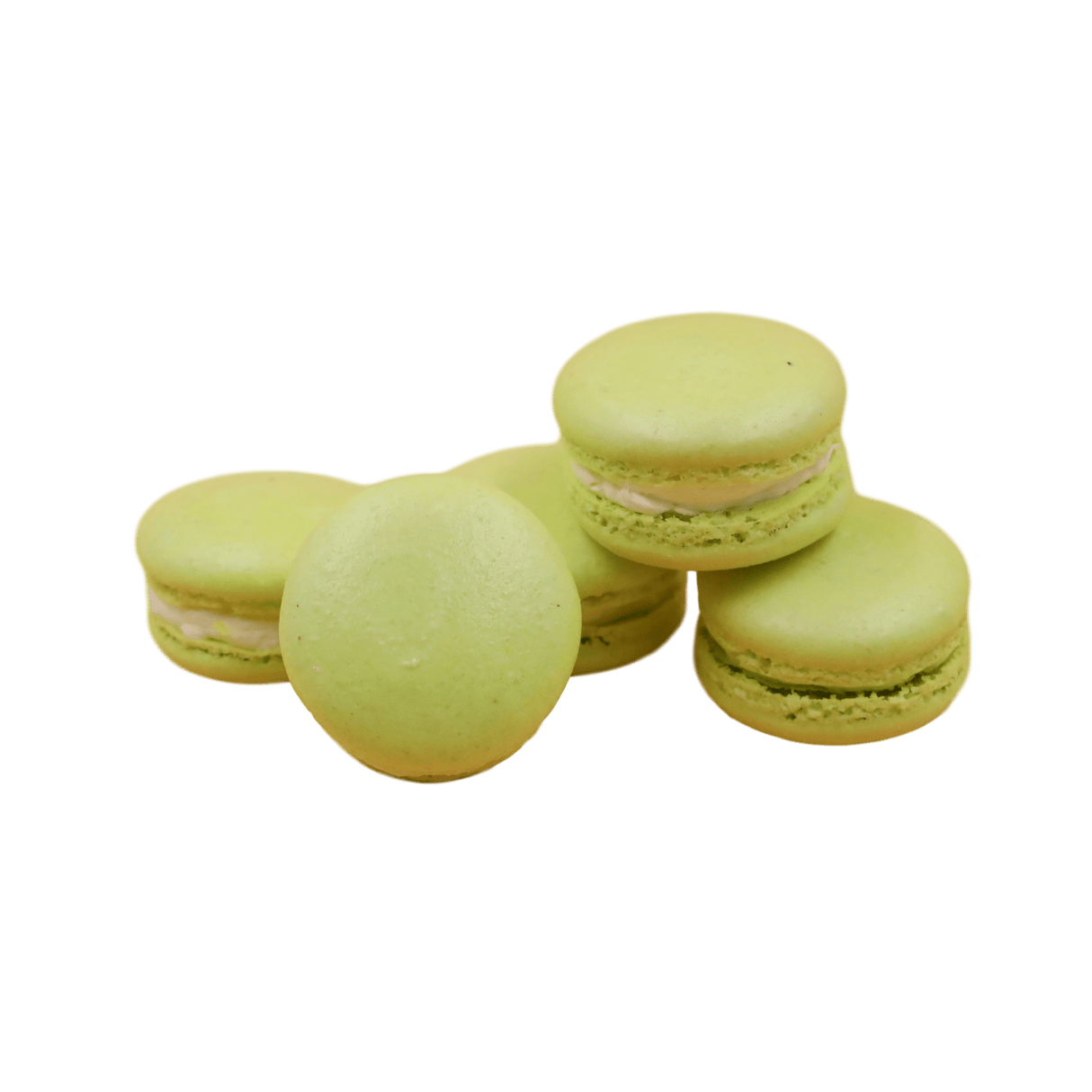 Macarons - 24 Packs - TMF Cake Designs