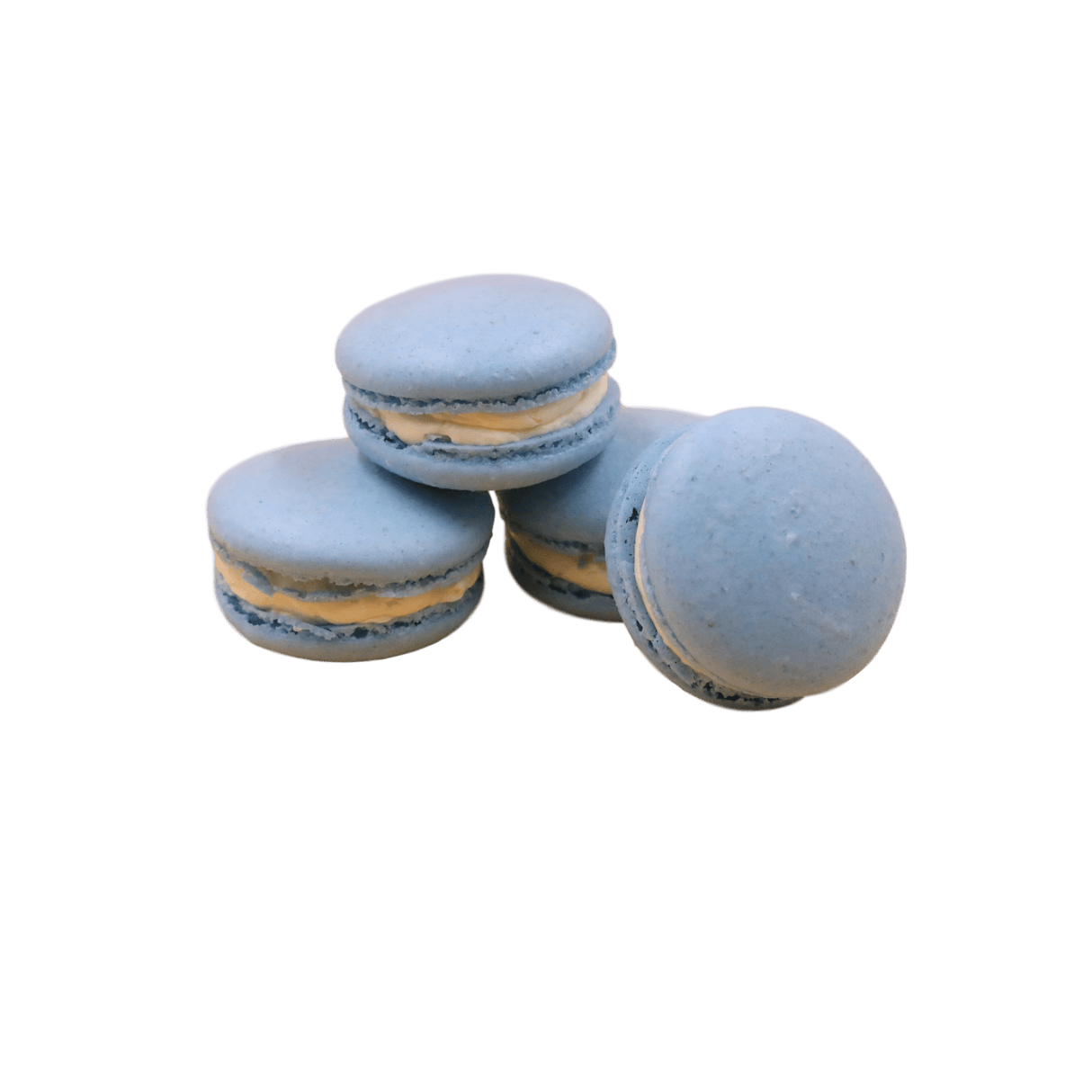 Macarons - 24 Packs - TMF Cake Designs