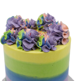 Rainbow's & Sprinkles Party Cake